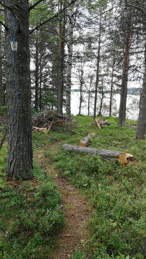 Siljonranta Villa Muonio Luaran gambar