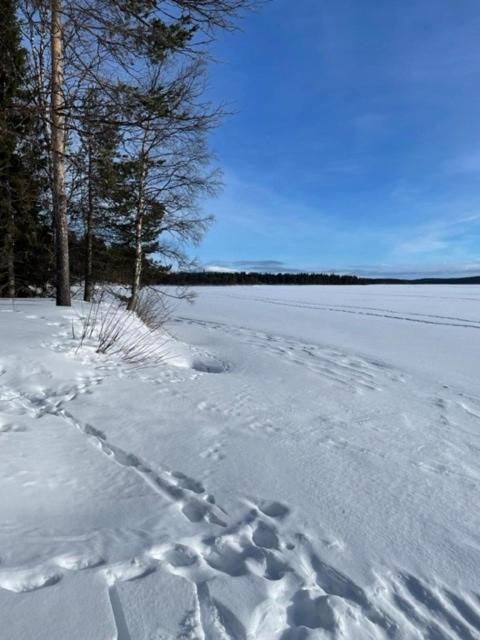 Siljonranta Villa Muonio Luaran gambar